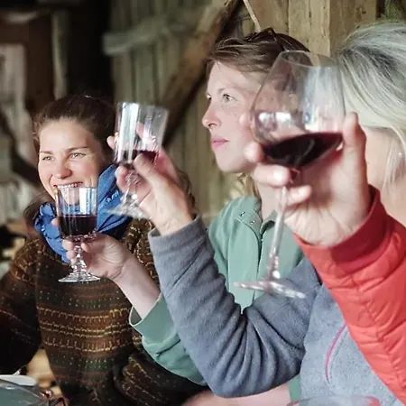 Heggjabygda Gjestegard - Historisk Tommerhus I Landlige Omgivelser