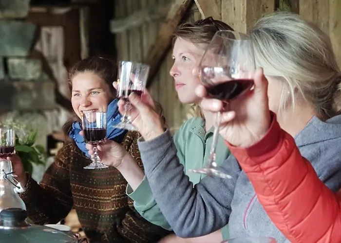 Heggjabygda Gjestegard - Historisk Tommerhus I Landlige Omgivelser