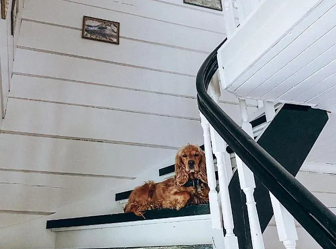 Heggjabygda Gjestegard - Historisk Tommerhus I Landlige Omgivelser * Nordfjordeid