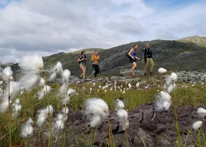 Heggjabygda Gjestegard - Historisk Tommerhus I Landlige Omgivelser *