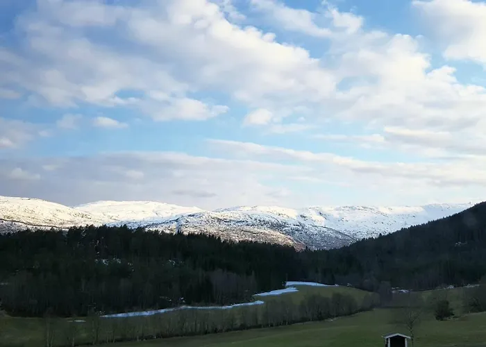 Alojamento de Turismo Rural Heggjabygda Gjestegard - Historisk Tommerhus I Landlige Omgivelser Nordfjordeid